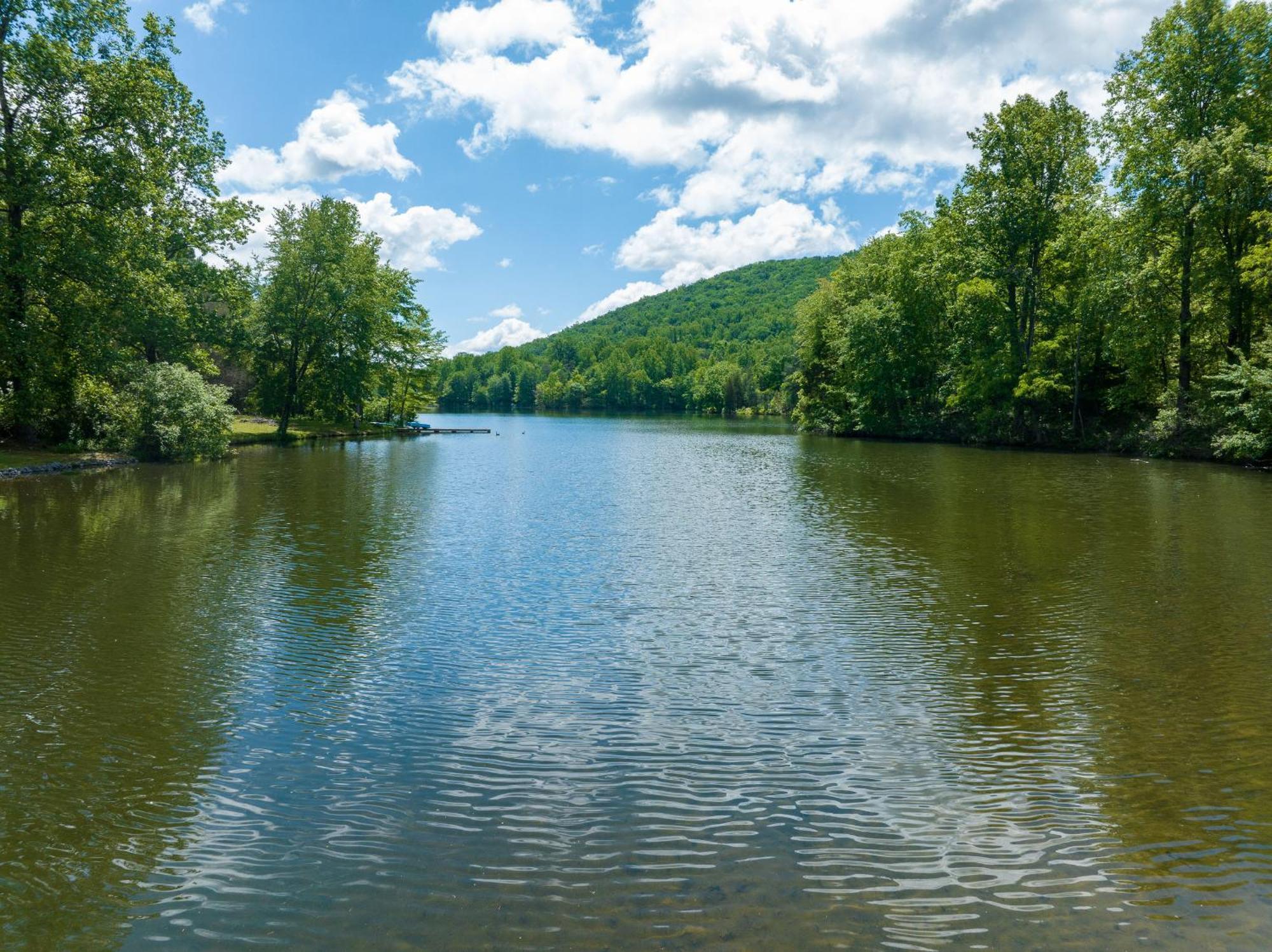 Waterfront Cabin 20 Mins To National Park & Massanutten! Stanardsville Exterior photo